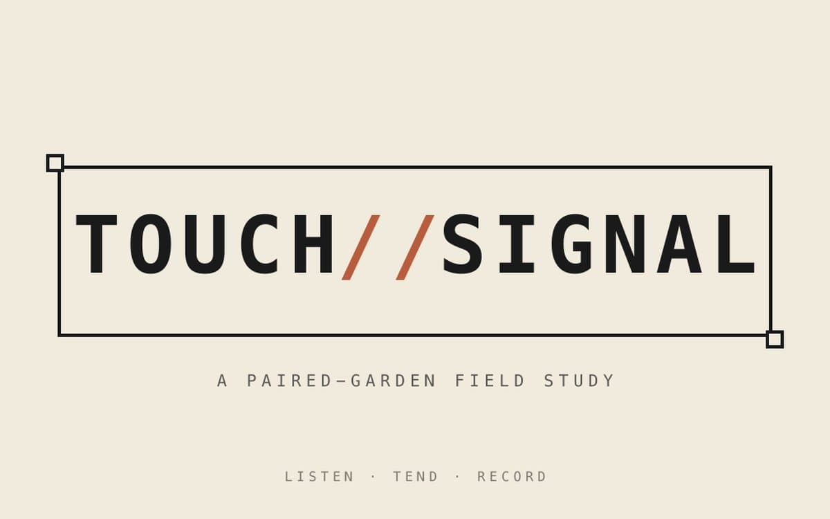 TOUCH//SIGNAL website